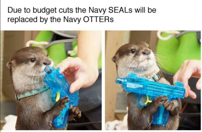That's otter-ly insane