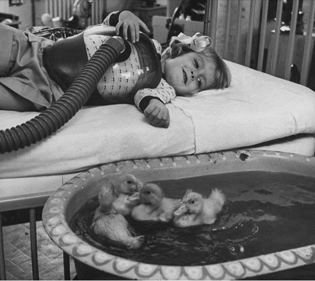 One of the first examples of Pet therapy on a child with polio - 1960
