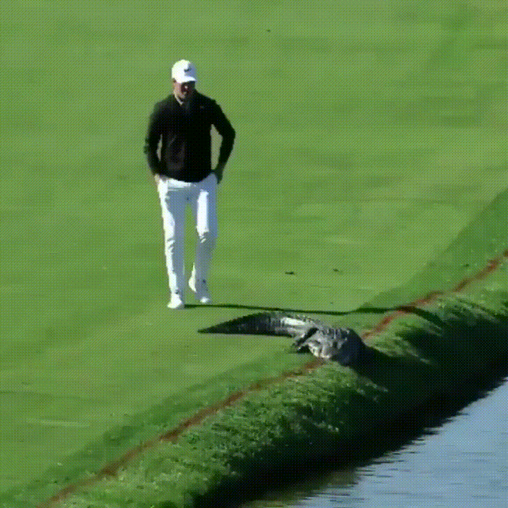 Some golfers are braver than others