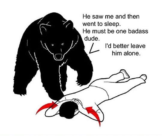 Bear logic