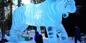 Tiger ice sculpture for the win.