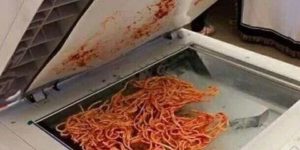 1998. This guy photocopied his spaghetti to show some  friends what he was eating