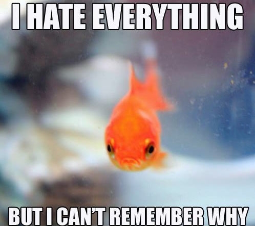 I hate everything...