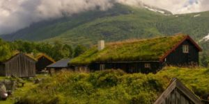 Thatched Roof In Norway