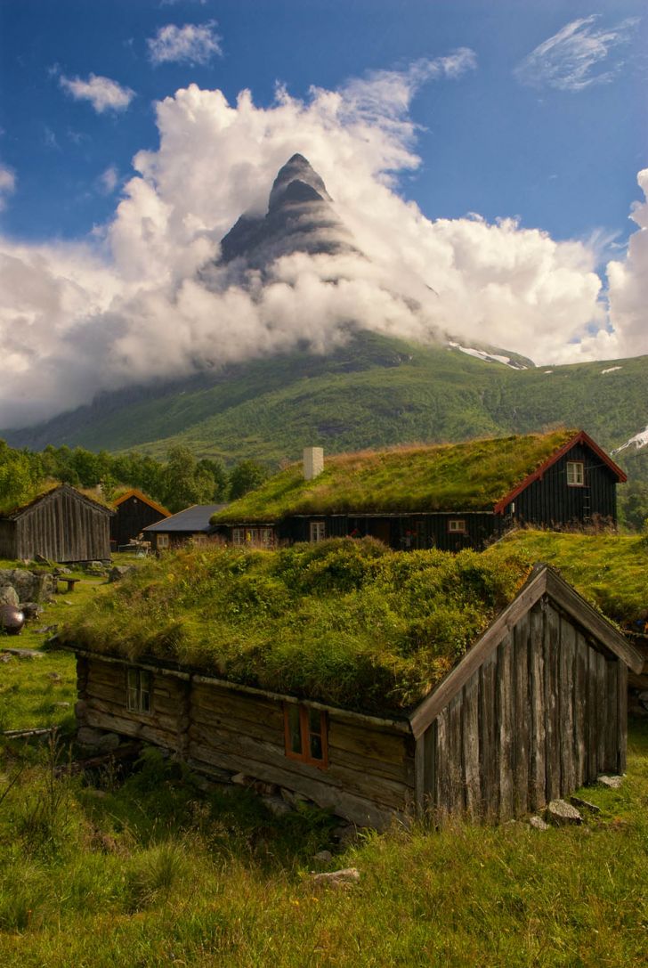 Thatched Roof In Norway