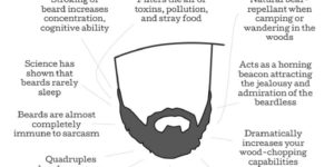 Beard facts.