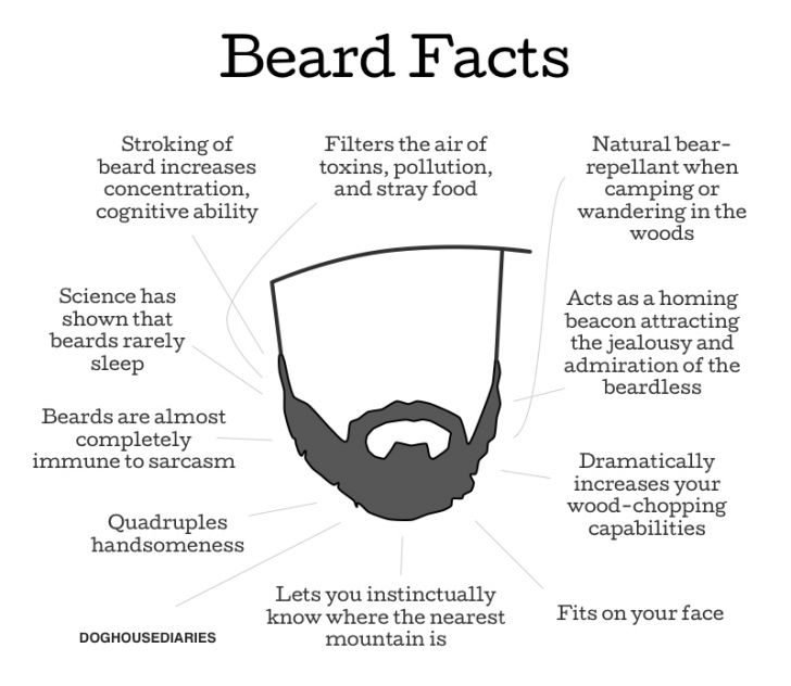 Beard facts.