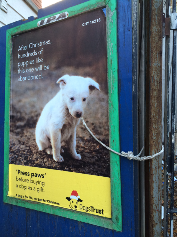 Dogs Trust poster campaign opposing the giving of dogs as Christmas presents