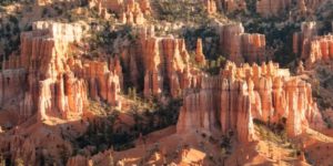 The hoodoos in Bryce Canyon