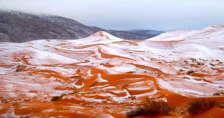 For the first time in 37 years, it has snowed in the Sahara