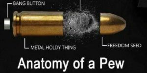 Anatomy of a bullet