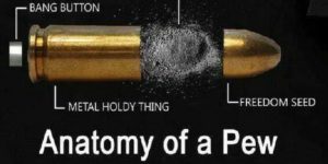 Anatomy+of+a+bullet