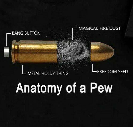 Anatomy of a bullet