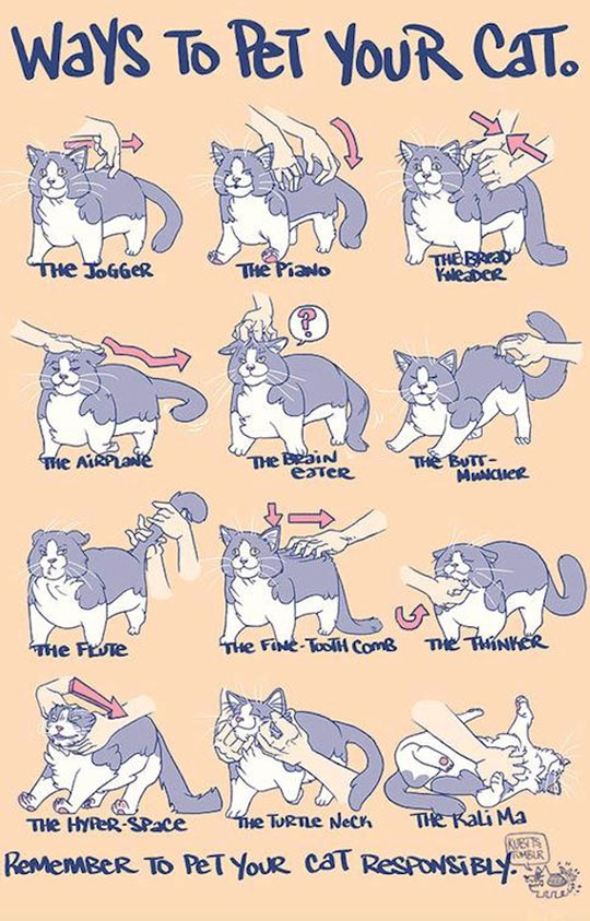 Ways to pet your cat.