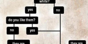 Flowchart: Is someone racist?