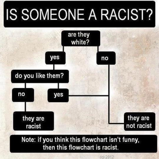 Flowchart: Is someone racist?