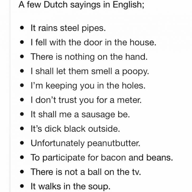 Why Dutch shouldn't be translated to English