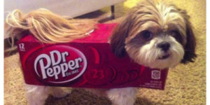 Dr. Puppers