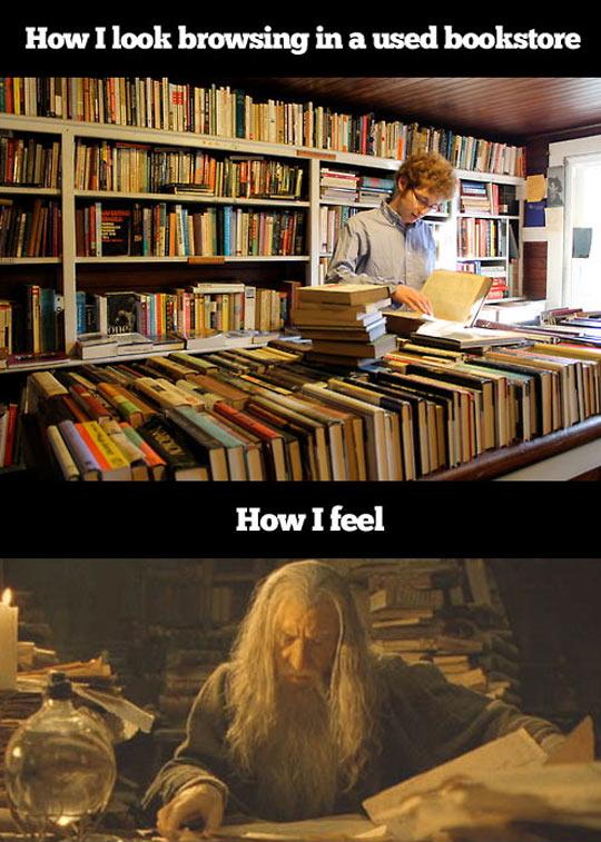 Dumbledore loves a good book