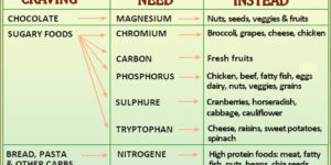 Understanding food cravings