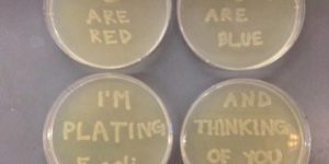 Microbiologist Expressing Her Love