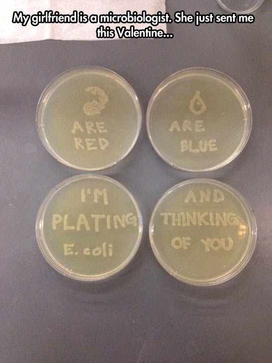 Microbiologist Expressing Her Love