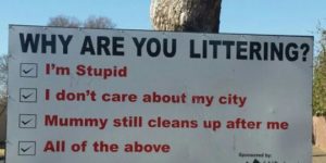 Why are you a litterbug?