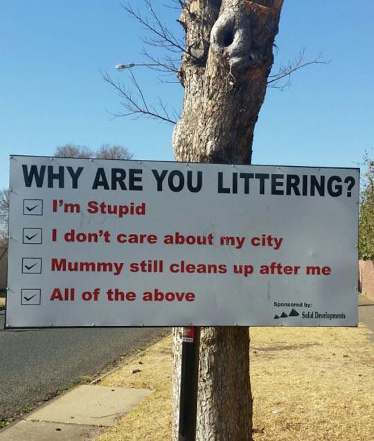 Why are you a litterbug?