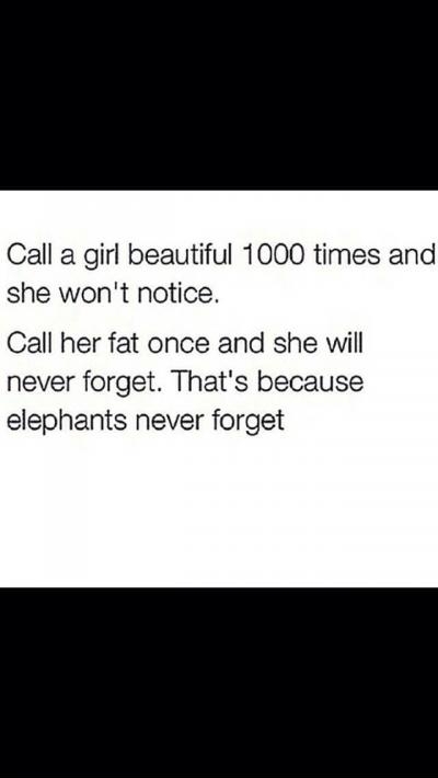 Elephants never forget. 