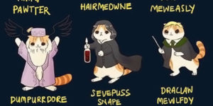 Harry Potter, Kitty Version