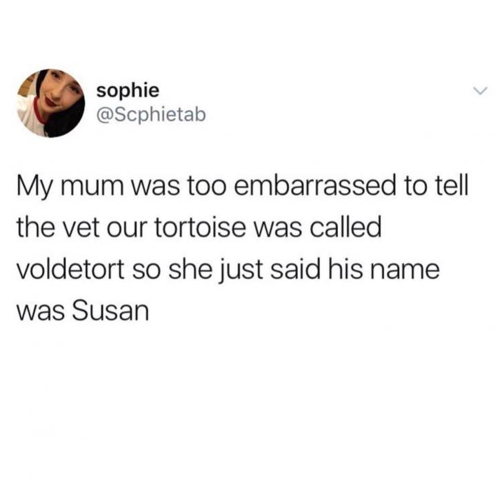 God damn it Susan