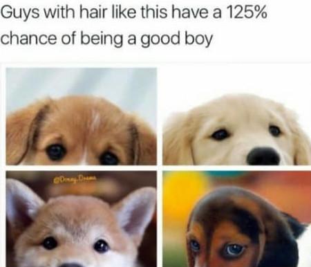 Guys with hair like this have 125% chance of being g o o d b o y e