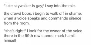Luke Skywalker is gay.