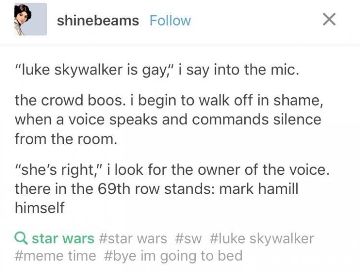 Luke Skywalker is gay.