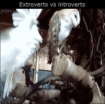 Extroverts vs introverts