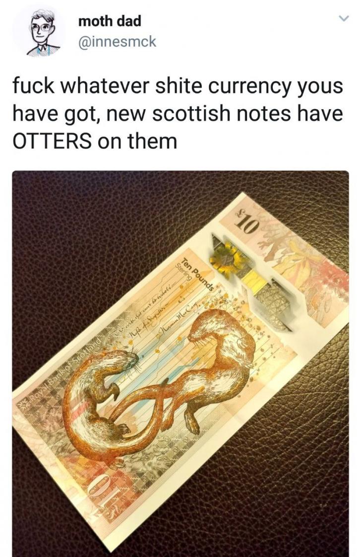 I made ten bucks the otter day.
