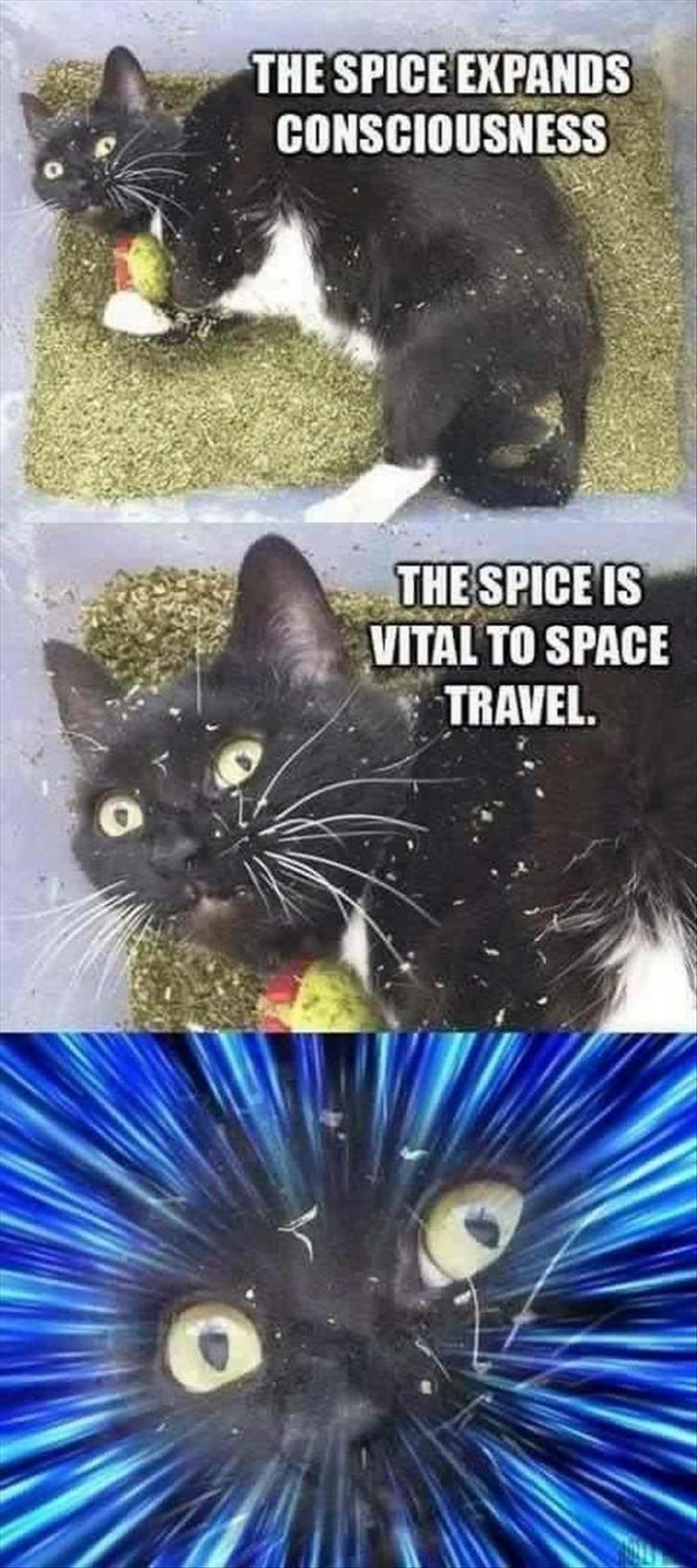 He who controls the spice...