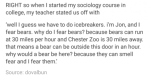 Pretty solid bear logic