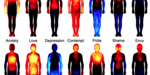 People feel sensations in different parts of their bodies when they experience emotions