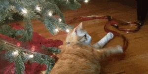 Trying to disassemble my Christmas tree…