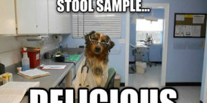 The results of your stool sample…