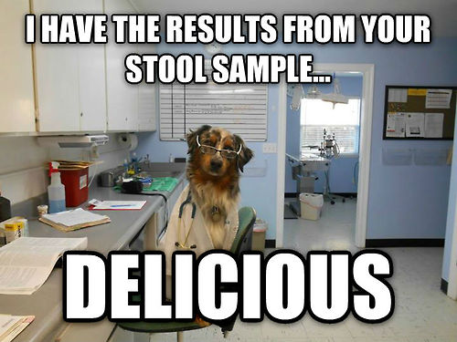 The results of your stool sample...