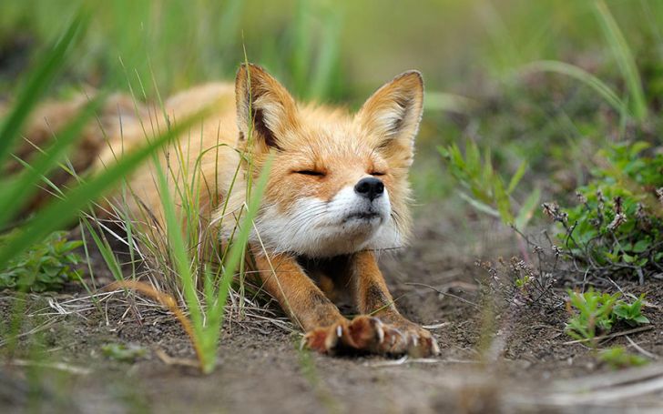 Cutest Morning Stretch forever.