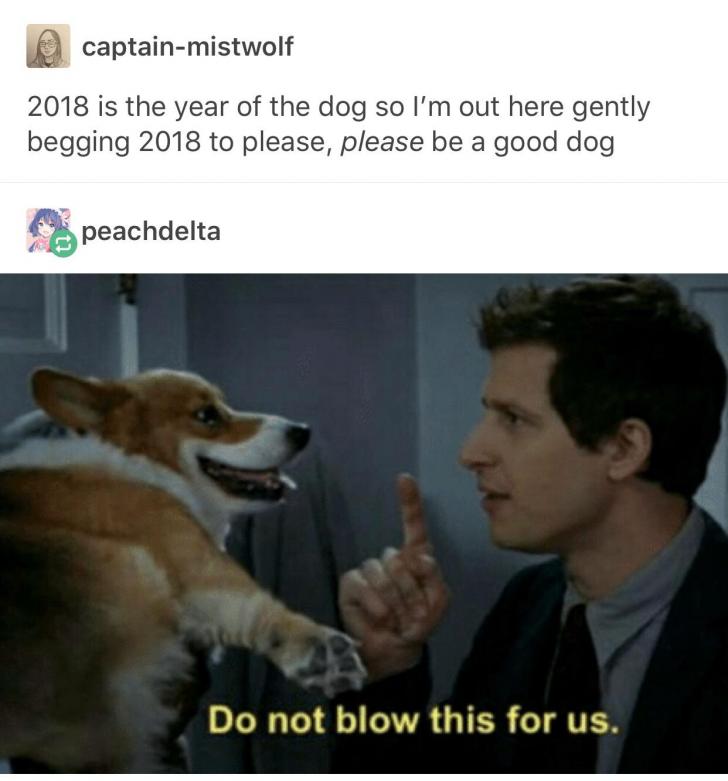 2018 - The Year of The Good B O Y E