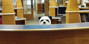 Oh hi panda!