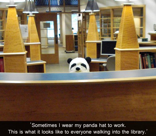 Oh hi panda!