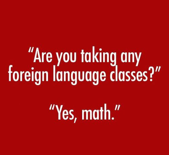 Are you taking any foreign language classes?