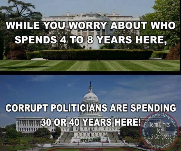 Term limits for Congress, anyone?