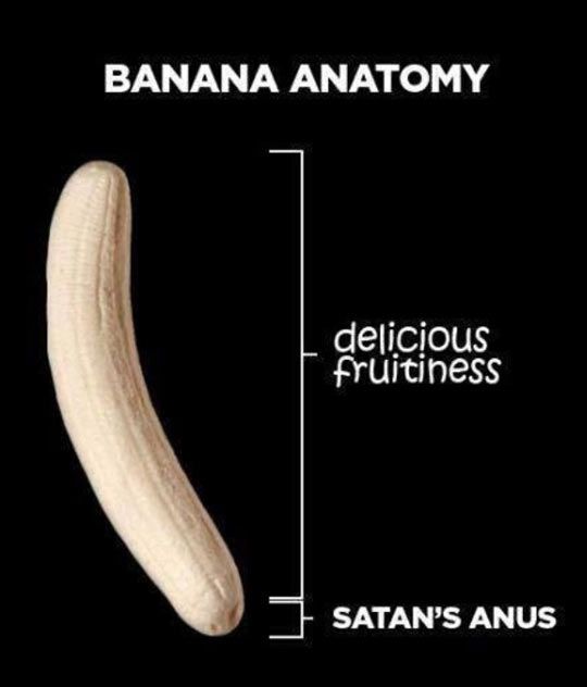 Anatomy of a banana.
