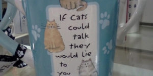 If cats could talk.